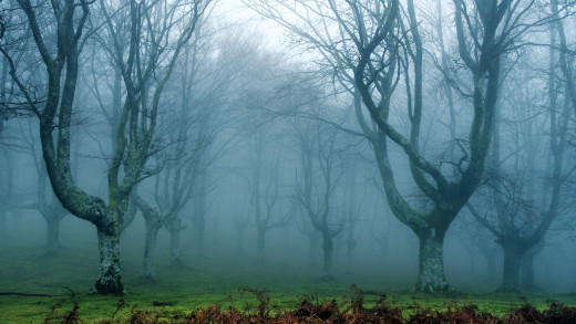 1753463 (a): :1920x1080